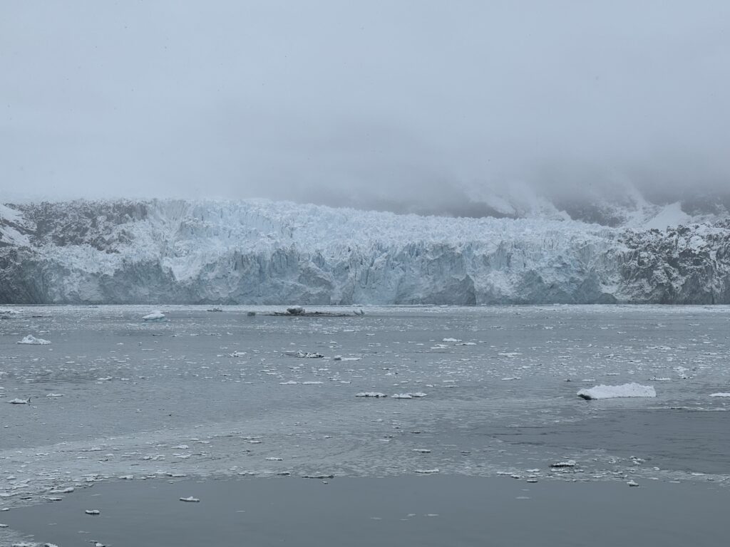 A tidewater glacier in Glacier Bay National Park seen from Norwegian Encore